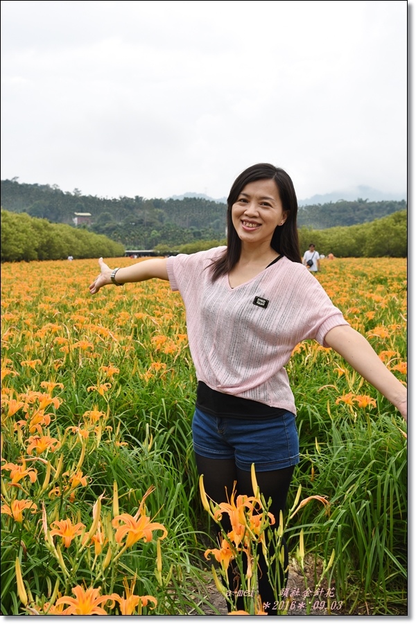 金針21.jpg 金針21.jpg