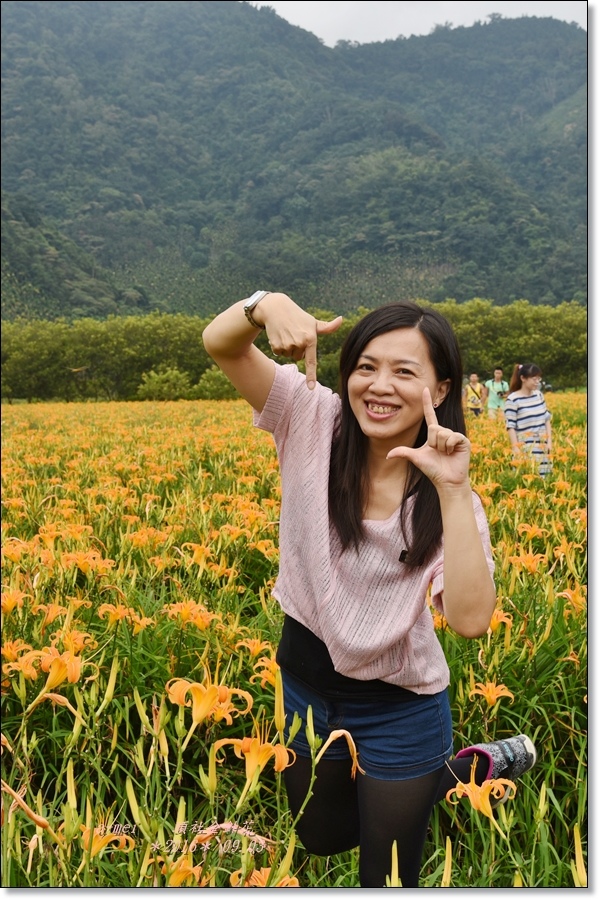 金針28.jpg 金針28.jpg