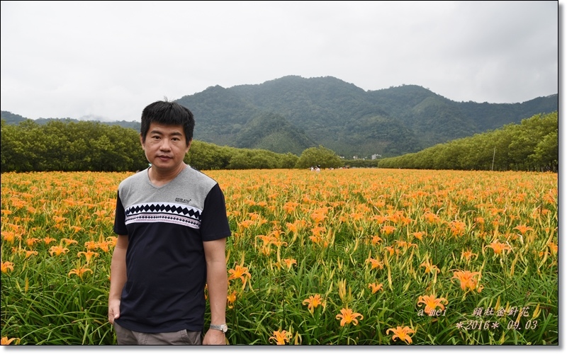 金針32.jpg 金針32.jpg