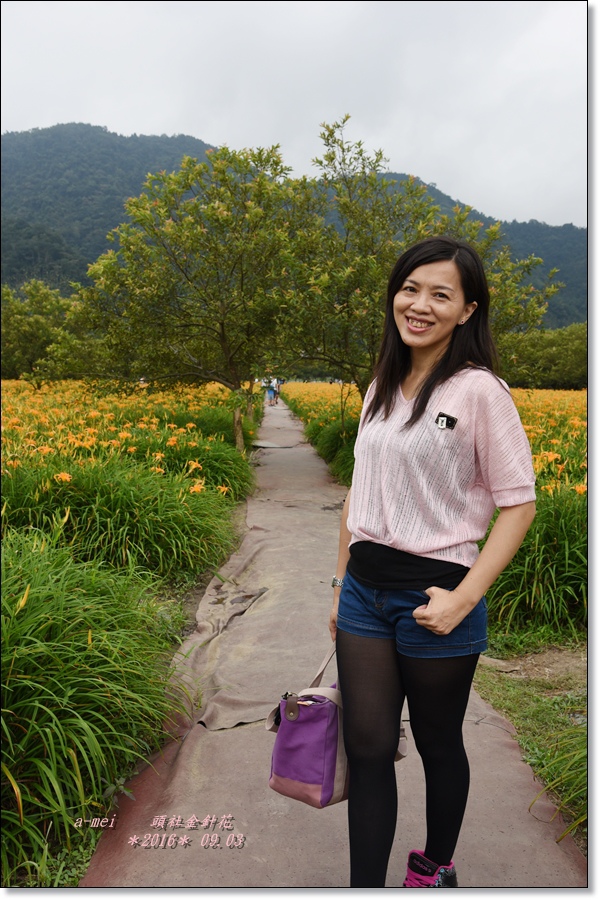 金針30.jpg 金針30.jpg