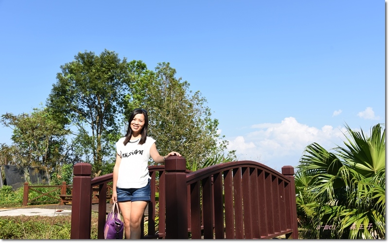 王子10.jpg 王子10.jpg