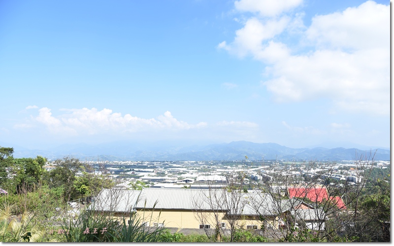 王子12.jpg 王子12.jpg