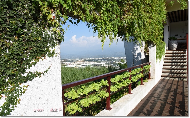 王子15.jpg 王子15.jpg