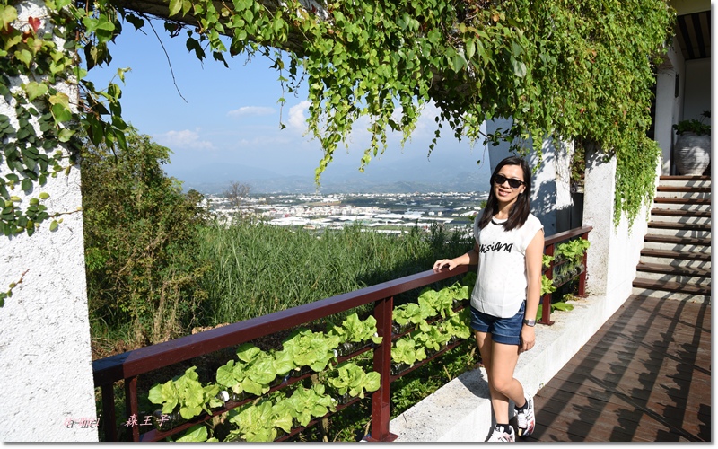 王子17.jpg 王子17.jpg