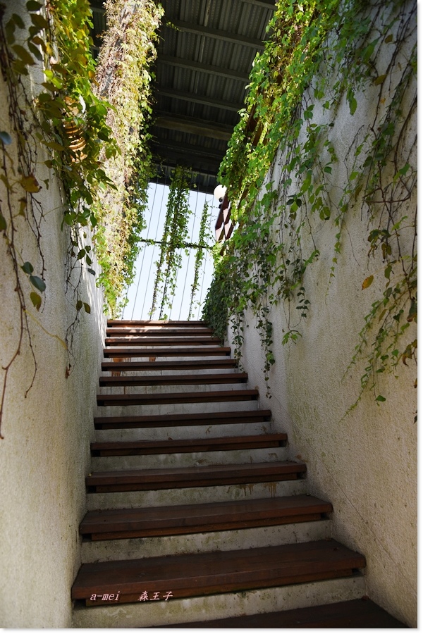 王子22.jpg 王子22.jpg