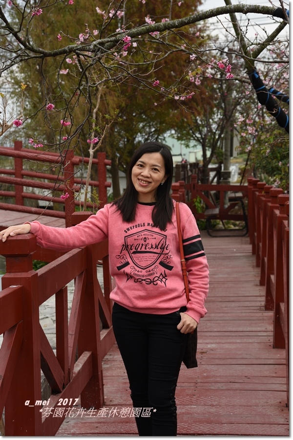 芬園6.jpg