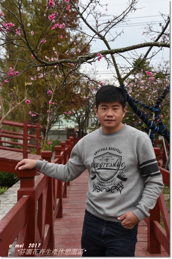 芬園5.jpg