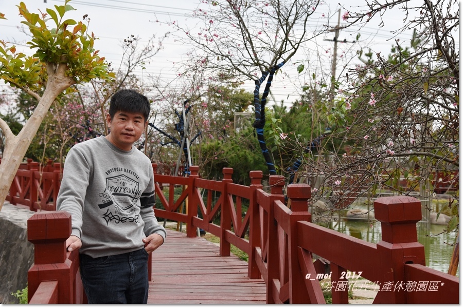芬園3.jpg