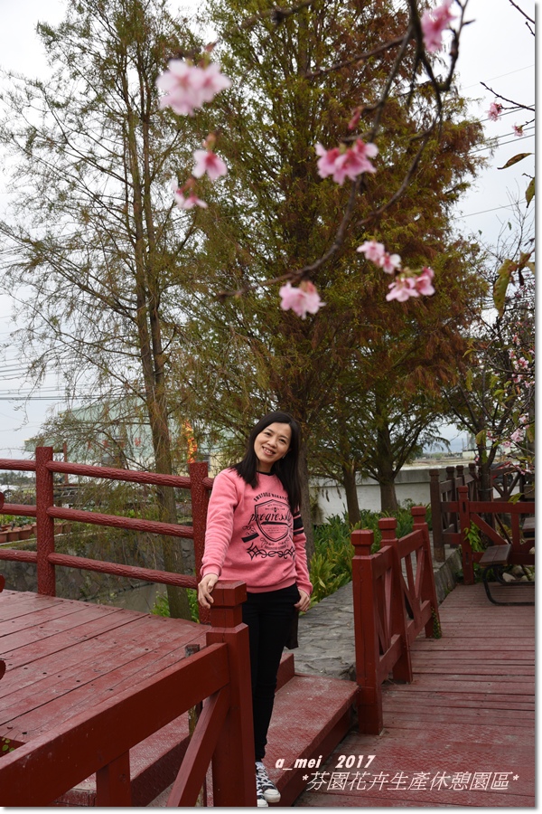芬園7.jpg