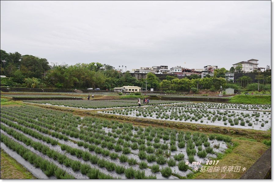 薰1.jpg 薰1.jpg
