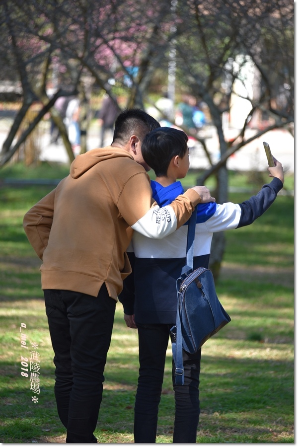 武陵1.jpg 武陵1.jpg