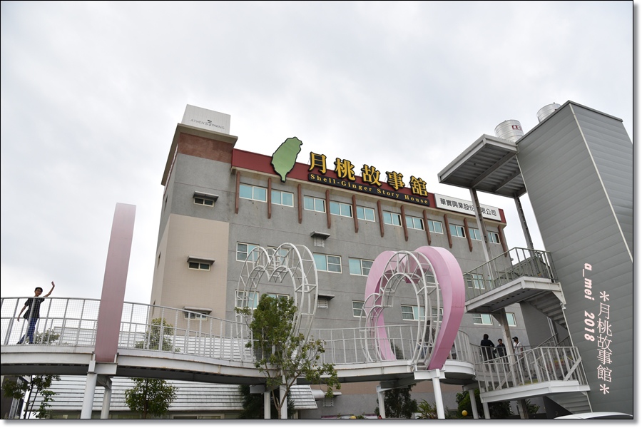 月桃1.jpg 月桃1.jpg