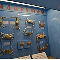 螃蟹2.jpg