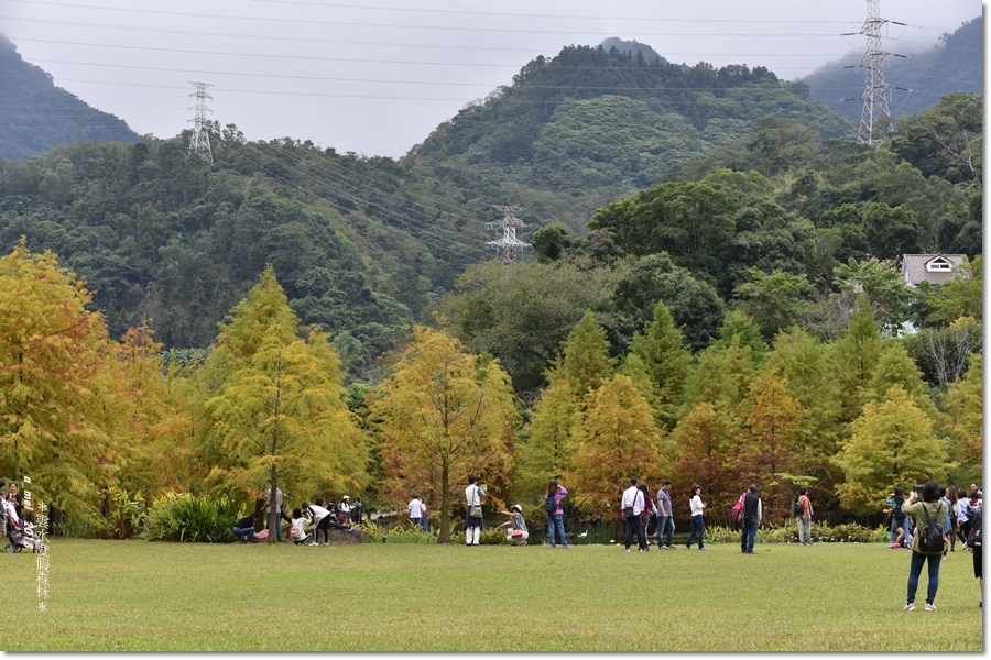 雲水35.jpg