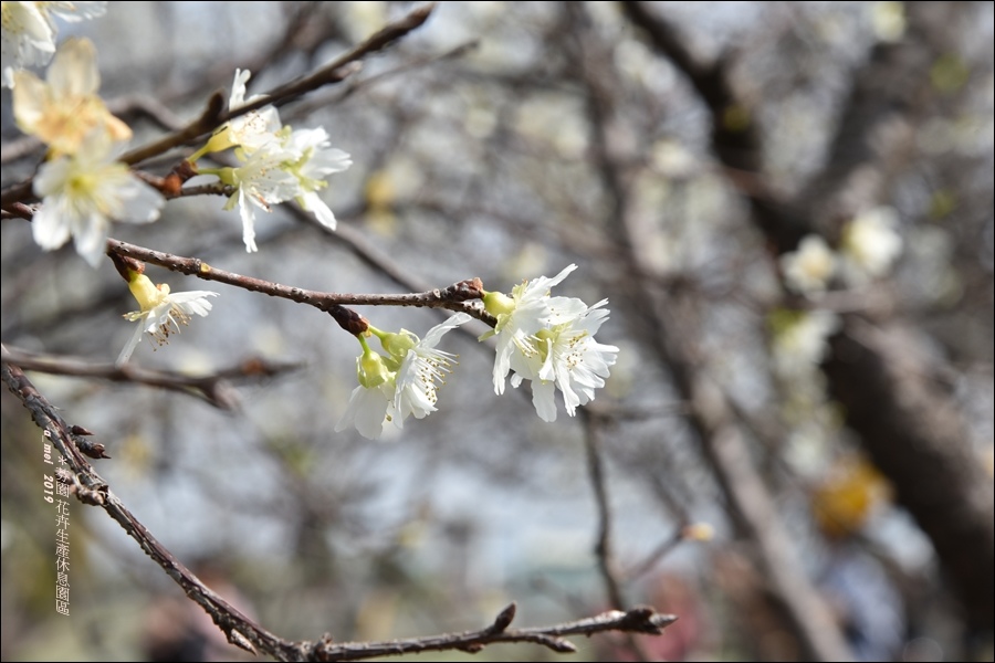 芬園7.jpg