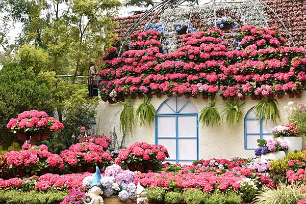 DSC_3981.JPG DSC_3981.JPG