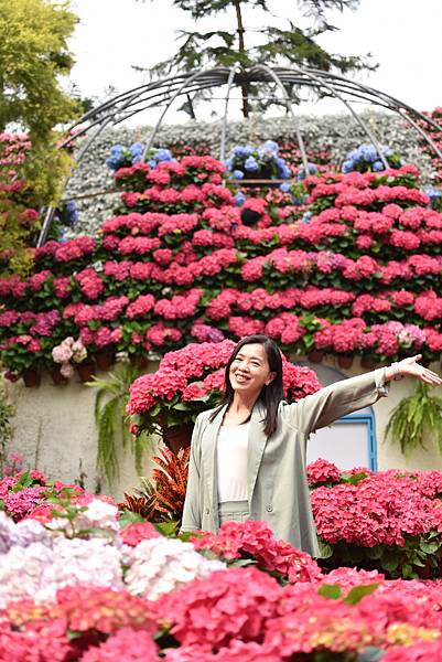 DSC_3978.JPG DSC_3978.JPG