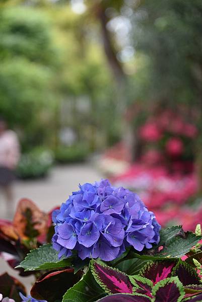 DSC_3990.JPG DSC_3990.JPG