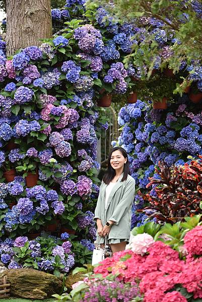 DSC_4011.JPG DSC_4011.JPG