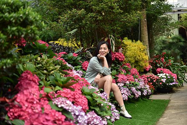 DSC_4001.JPG DSC_4001.JPG