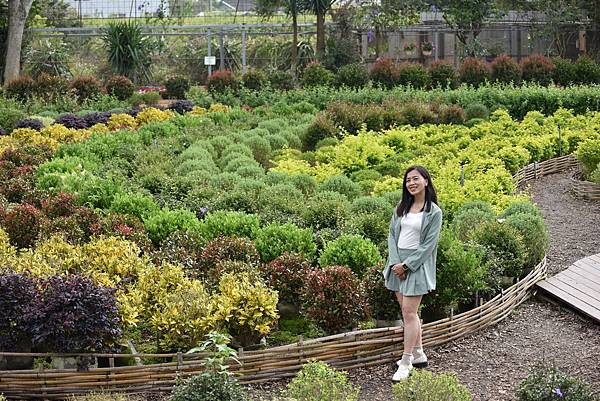 DSC_4048.JPG DSC_4048.JPG