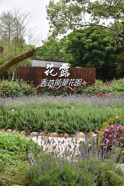 DSC_4065.JPG DSC_4065.JPG