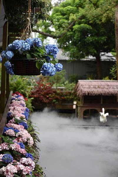 DSC_4064.JPG DSC_4064.JPG