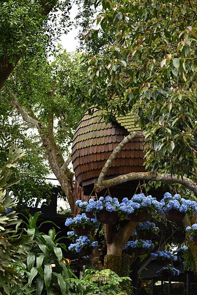 DSC_4068.JPG DSC_4068.JPG