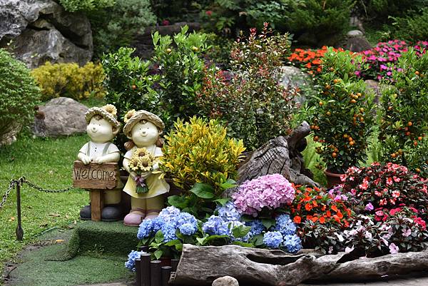 DSC_4069.JPG DSC_4069.JPG