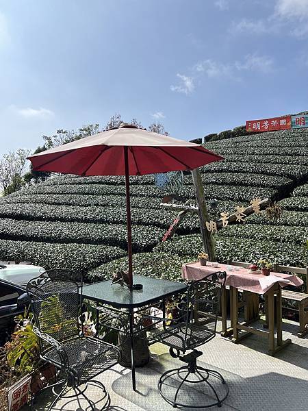 奮起湖 明芳茶園