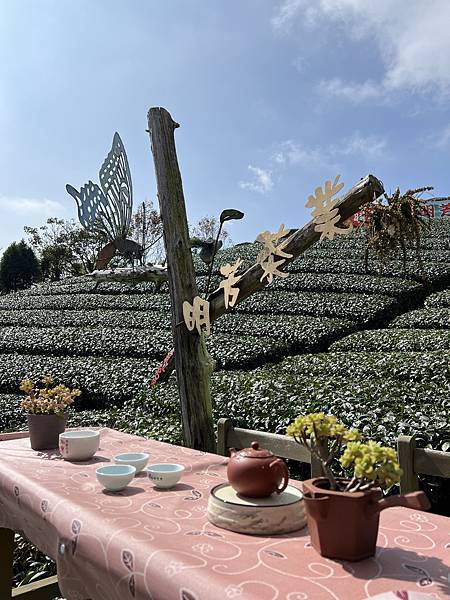 奮起湖 明芳茶園