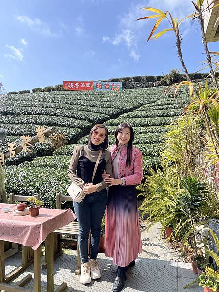 奮起湖 明芳茶園