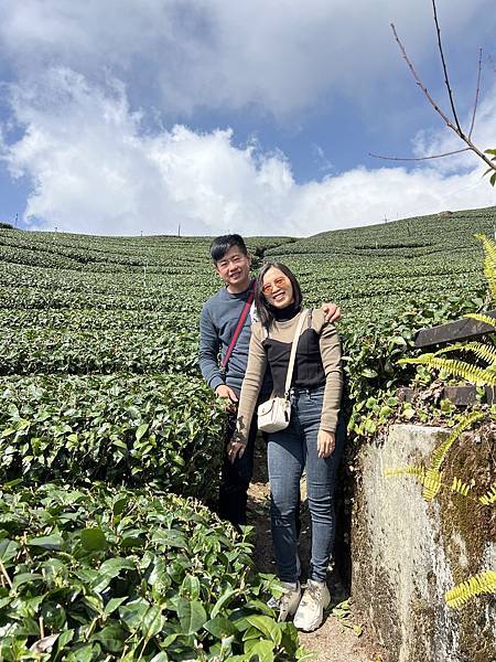 奮起湖 明芳茶園