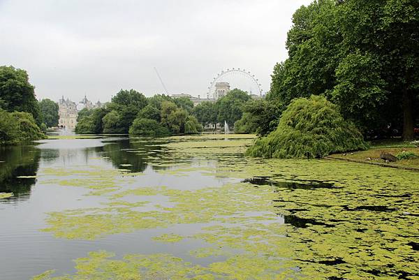 這座花園是倫敦市民最常散步休閒的去處，也是觀光客必經造訪的地方