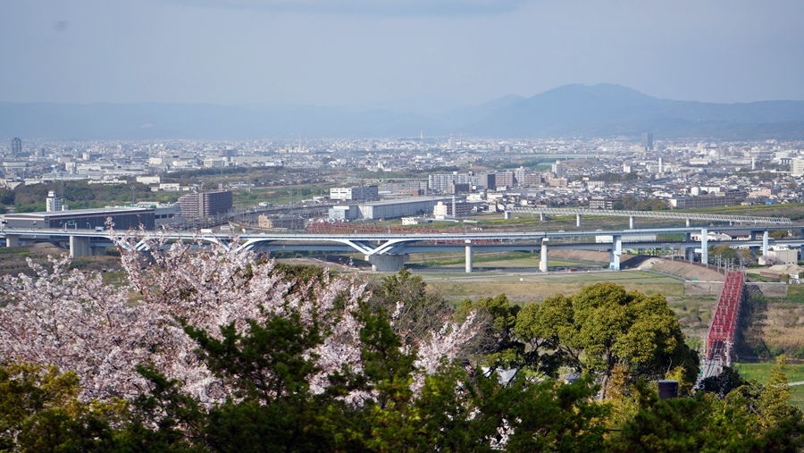 [宇治] &[石清水八幡宮] 快閃一日遊