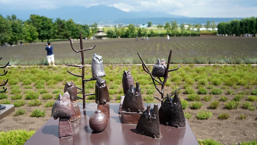 夏天の富良野味道