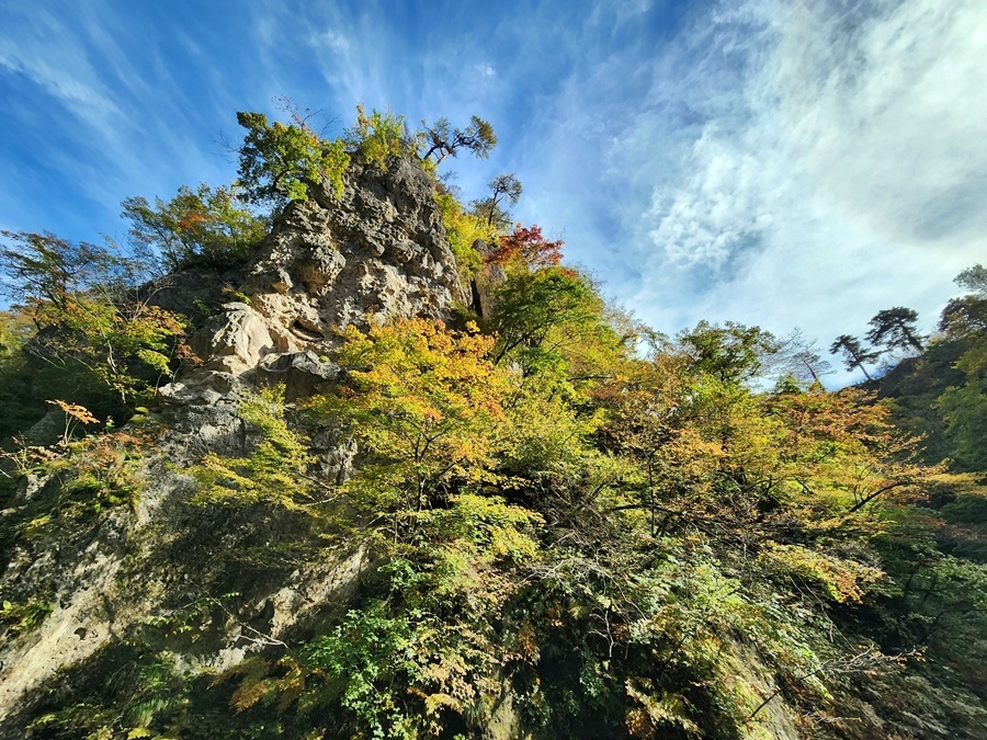 [宮城縣鳴子峽] 追楓去