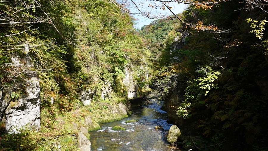 [宮城縣鳴子峽] 追楓去