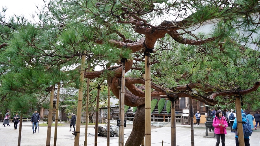 岩手縣世界遺產 中尊寺