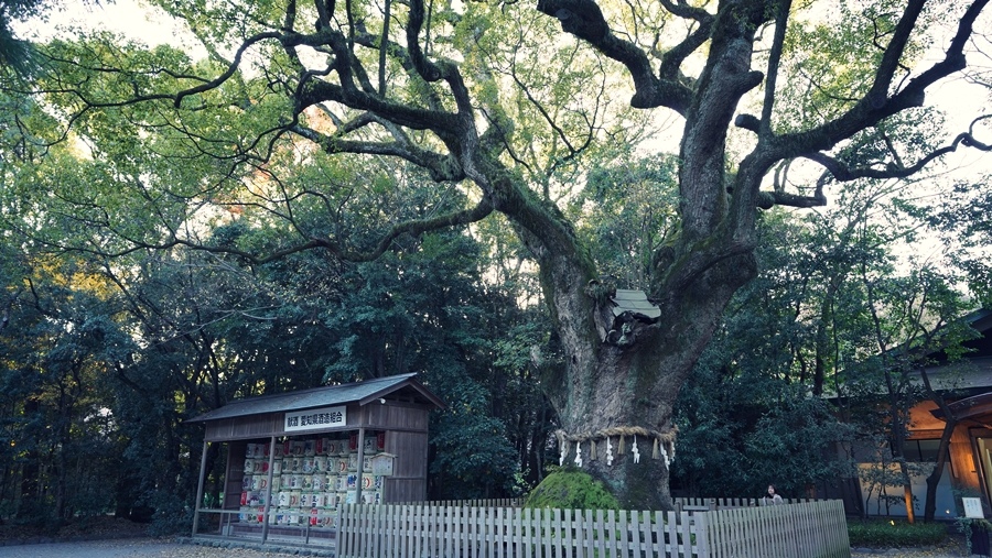 搭地鐵 名古屋一日遊