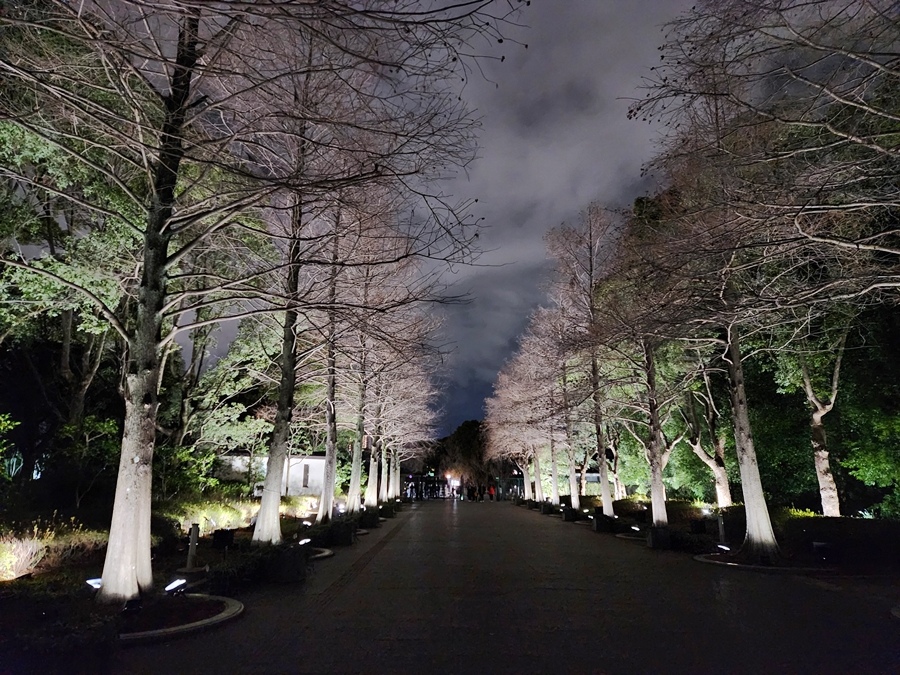 長居公園 TeamLab 夜間探險