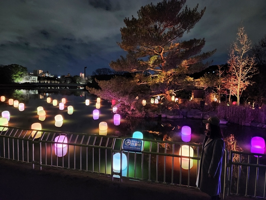 長居公園 TeamLab 夜間探險