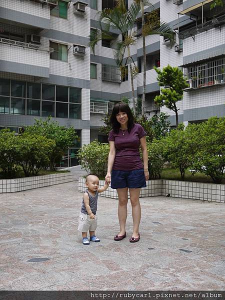 小花14W5D+巧虎1Y3M