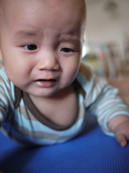 裝可憐叫媽媽抱