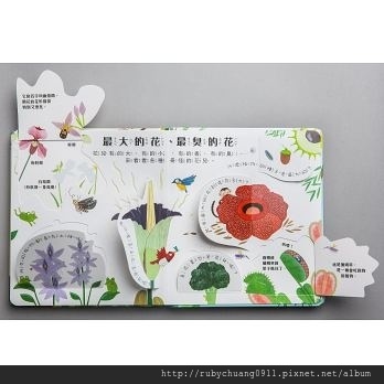 植物為什麼要開花1.jpg 植物為什麼要開花1.jpg