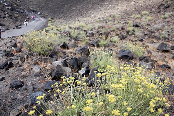 新卡梅尼火山島健行 (31).jpg