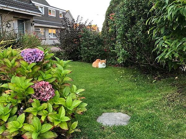 pic_09.jpg pic_09.jpg