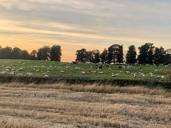 pic_15.jpg pic_15.jpg