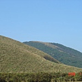 擎天崗山景