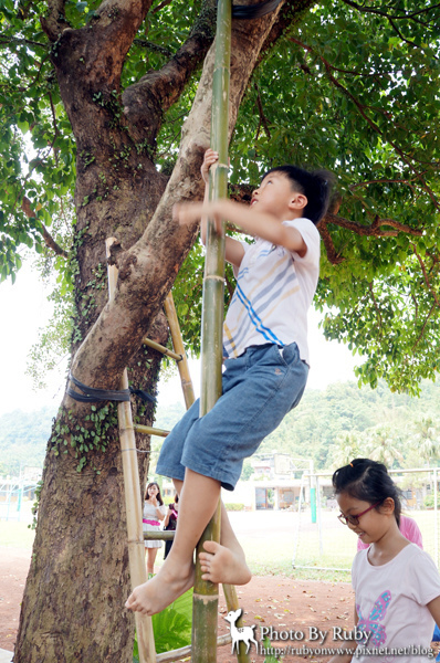 DSC03529小.jpg DSC03529小.jpg